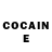 COCAIN Fish Scale Natureemorte