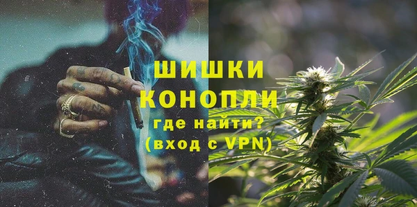 PSILOCYBIN Беломорск
