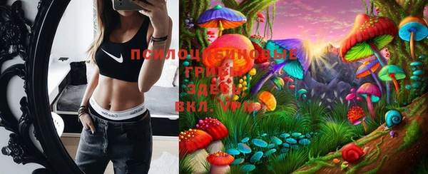 марки nbome Белокуриха