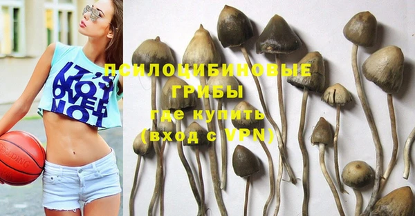 PSILOCYBIN Беломорск