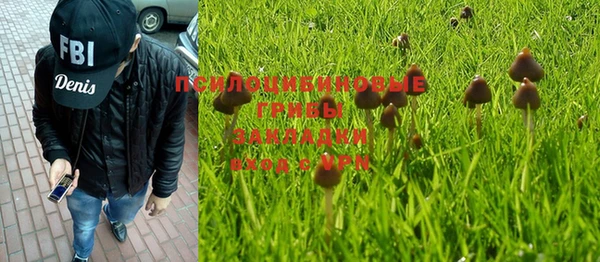 экстази Богородск