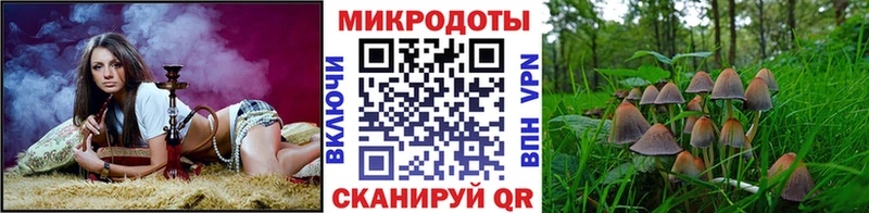 цены наркотик  Высоцк  Псилоцибиновые грибы GOLDEN TEACHER 